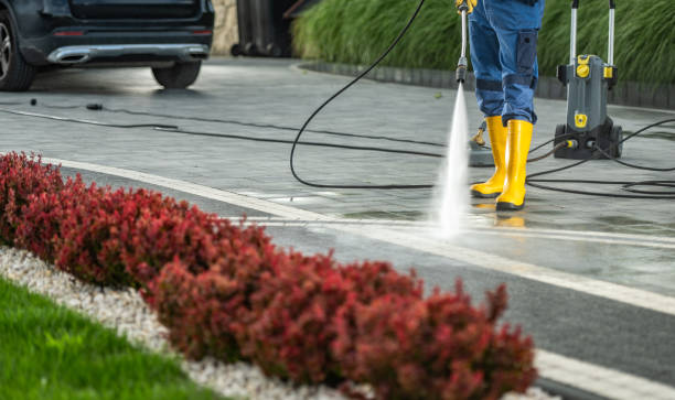 Best Pressure Washing Services Near Me  in Tontitown, AR